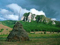 Hay stack in field under stormy sky, Rimetea. Alba, Romania.