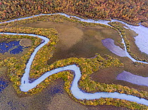 Person canoeing on small, winding river channel in the Rapa delta, surrounded by autumnal forest, Laponia World Heritage Site, Lapland, Sweden. September, 2016.