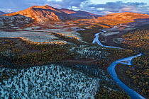 Aerial view at sunrise of river running through lichen-covered landscape in autumn, with Scots pine (Pinus sylvestris) and Mountain birch (Betula pubescens) trees, Grimsdalen, Rondane National Park, N...