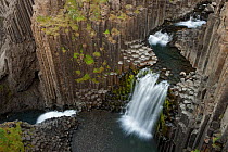 Litlanesfoss waterfall on the Hengifossa river flowing through columnar basalt formations, Iceland. August, 2008.