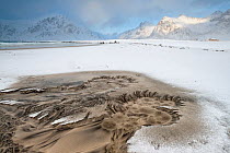 Hot springs welling up on a sandy beach at low tide, covered in snow after a storm,  Skagsanden beach, Flakstad, Lofoten Islands, Norway. March, 2013.