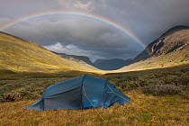 Tent pitched in the Sarvesvagge valley, with rainbow in background, Sarek National Park, World Heritage Laponia, Swedish Lapland, Sweden. August, 2013.