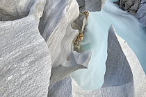 Eroded marble stone sculptures overhanging the Glamoga River, which is a green-blue colour due to the large amount of suspended sediment it contains, Saltfjellet-Svartisen National Park, Norway. June,...