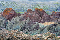 Mixed sedimentary rock ourctops, violet and green mudstones, grey and pink sandstones, yellow-grey dolomite and grey limestone, in stony desert, northeast coast of the Varanger peninsula, Norway. June...