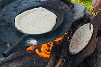 Baking traditional bread, called glodbrod, over open fire in Sami village, Kutjaure, Lapland, Sweden. July, 2016.