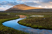 Small stream on the Luottolako plateau, with Mount Naite in background, Sarek National Park, World Heritage Laponia, Swedish Lapland, Sweden. August, 2013.
