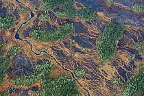 Aerial view of patchwork of string bogs, aapa mire, and coniferous forests in autumn, Muddus National Park, World Heritage Laponia, Swedish Lapland, Sweden. October, 2013.