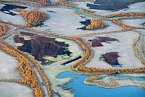 Aerial view over the Laitaure delta in autumn, Sarek National Park. World Heritage Laponia, Swedish Lapland, Sweden. September, 2014.