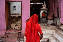 Woman standing in temple surrounded by Black rats (Rattus rattus) feeding on food left for them, Karni Mata Temple (The Temple of Rats), a Hindu temple dedicated to the Hindu Goddess Karni Mata and fa...