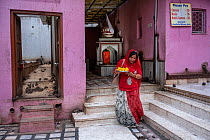 Woman carrying plate of food, walking through temple with Black rats (Rattus rattus) feeding on food left for them, Karni Mata Temple (The Temple of Rats), a Hindu temple dedicated to the Hindu Goddes...