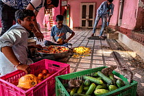 Black rats (Rattus rattus) climbing over vegetables in crate with two men sitting on floor preparing food, Karni Mata Temple (The Temple of Rats), a Hindu temple dedicated to the Hindu Goddess Karni M...