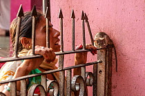 Woman looking at Black rat (Rattus rattus) sitting on iron gate in Karni Mata Temple (The Temple of Rats), a Hindu temple dedicated to the Hindu Goddess Karni Mata and famous for thousands of black ra...