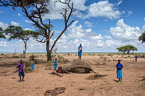 Local schoolchildren standing around dead female Elephant (Loxodonta africana), probably killed by poisoning by local farmers, Amboseli National Park, Kenya, Africa. November, 2015.