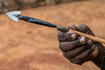Person holding arrow tipped with poison made by poachers to kill Elephants for the ivory trade, Tsavo West National Park, Kenya, Africa.