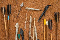 Arrows tipped with poison made by poachers to kill Elephants for the ivory trade, Tsavo West National Park, Kenya, Africa.