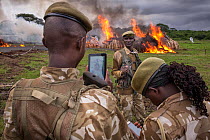 Three wildlife rangers taking photograph standing close to flames and smoke from 105 tonnes of Elephant tusks on fire - the largest ivory burn in history - Nairobi National Park, Kenya, Africa. 30 Apr...