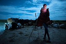 Maasai cattle herder using mobile phone to contact fellow herders before driving cattle out of the Masai Mara Reserve before dawn, Talek area, Masai Mara reserve, Kenya, Africa. April, 2015.