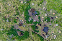 Aerial view of Maasai community bomas / family  homesteads with huts around livestock enclosures east of Ngorongoro Crater, Ngorongoro Conservation Area, Tanzania, Africa.