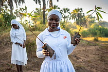 Women planting tree saplings along river to prevent erosion. All the women in this family wear white at all times - part of their culture as a Christian sect, Gorongosa National Park, Mozambique. May,...