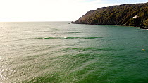 Aerial tracking shot of a group paddleboarders riding the waves, Salcombe, Devon, UK.