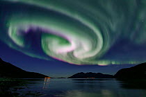 Northern lights (Aurora Borealis) over fjord.  Troms, Norway. September.