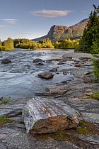 The Hemsila river in summer, tree-lined riverbanks and hills with high cloud in sky, Hemsedal region, Norway. June, 2022.
