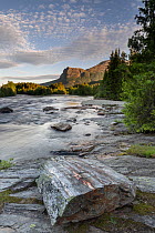 The Hemsila river in summer, tree-lined riverbanks and hills with high cloud in sky, Hemsedal region, Norway. June, 2022.