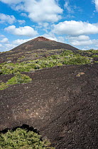 Aerial view of lava field from old volcanic eruption.  Tsavo East National Park, Kenya.