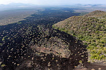 Aerial view of lava field from old volcanic eruption.  Tsavo East National Park, Kenya.