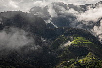 Aerial view of low cloud drifting over hills, Intag Valley, Imbabura, Ecuador. January, 2022.