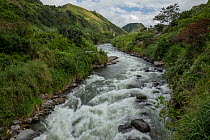 Intag River flowing through hills, Apuela, Imbabura, Ecuador. January, 2022.