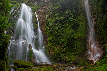 Cascadas gemelas / Twin waterfalls in the cloud forest, Junin, Imbabura, Ecuador. January, 2022.