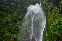Velo de Novia / Bride's veil waterfall in the cloud forest, Junin, Imbabura, Ecuador. January, 2022.