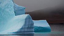 Tracking shot of a large Iceberg,  with two Black-legged kittiwakes (Rissa tridactyla) resting on it, Dundas Harbour, Devon Island, Nunavut, September, 2022.