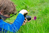 Boy photographing a Northern marsh orchid (Dactylorhiza purpurella), Yorkshire, UK. May. Model released.