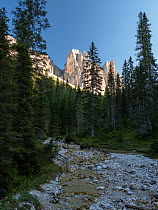 Mountain creek flowing through forest down mountainside with Croda da Lago mountains in background, Dolomites, Italy. September, 2020.