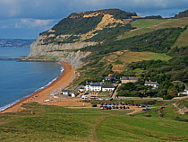 View over seatown and its beach with Lyme Bay beyond.  Golden Cap, Dorset, England, UK. September.