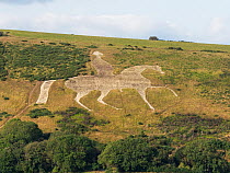 Osmington White Horse figure cut into limestone hills.  South Dorset Ridgeway, Osmington Hills, Dorset, UK. September.