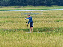 Paddle boarder in a water channel amongst coastal grasses.  Arne Nature Reserve, Isle of Purbeck, Dorset, UK. August.