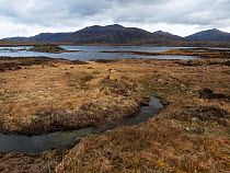 View of loch and moorland with mountains of Maoil Daimh, Coire na h-Eitich, Beinn na h-Aire, Maol Martaig beyond.  Loch Druidibeg Nature Reserve, South Uist, Outer Hebrides, Scotland, UK. May.