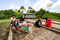 Men digging in artificial beach to create temporary nest for Yellow-spotted Amazon river turtle (Podocnemis unifilis) eggs as part of conservation program run by Peruvian National Park authority and l...