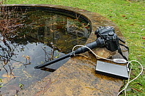 Macro probe lens with built in LED lighting mounted on a DSLR camera dipping underwater to photograph garden pond life, Wiltshire, UK. January.