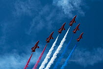 The Royal Air Force Red Arrows display team in formation with red, white and blue contrails, over Rhosneigr, Anglesey, Wales, UK. August, 2022.