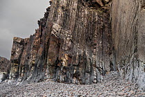 Vertically bedded, Carboniferous age, Bude sandstone and shale. There is a strong cleavage in the rock that runs diagonally from upper left to lower right, Bude, Cornwall, UK. January, 2022.