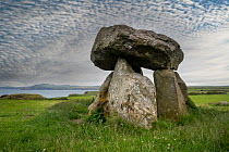 Carreg Samson, a 5000-year-old Neolithic dolmen / tomb located half a mile west of Abercastle near the Pembrokeshire Coast Path, Wales, UK. July, 2022.