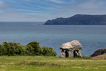 Carreg Samson, a 5000-year-old Neolithic dolmen / tomb, located half a mile west of Abercastle near the Pembrokeshire Coast Path overlooking the sea, Wales, UK. July, 2022