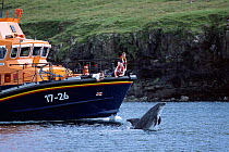 Bottlenose dolphin (Tursiops truncatus) leaping from under bow of RNLI boat, watched by off duty crew.   Isle of Skye, Scotland, UK.