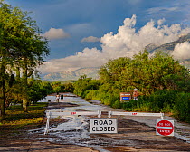 Entrance road to Catalina State Park closed due to flooding run-off from Southerland and Romero Creek, with storm clouds over Santa Catalina mountains in background, Catalina State Park, Arizona, USA....