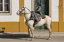 Amazona / woman riding sidesaddle in traditional costume on Lusitano Varga stallion, Feira da Golega, Ribatejo, Portugal. Amazonas are side-saddle riders.