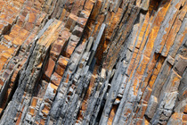 Twisted, deformed sandstone, mudstone and siltstone rock strata in coastal cliffs, Sandymouth Bay, Cornwall, UK. July, 2022.